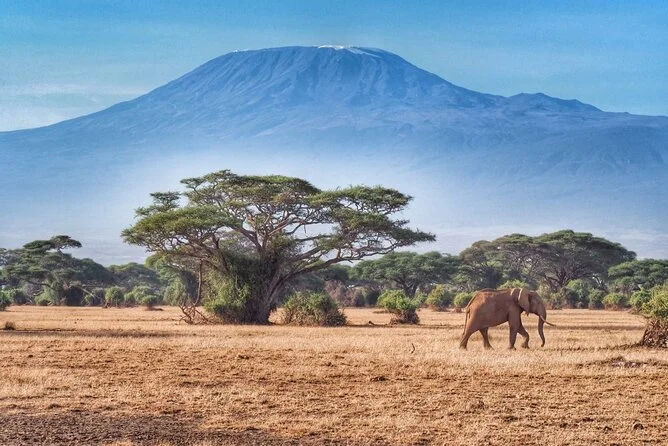 Nairobi Excursions ( 2025)