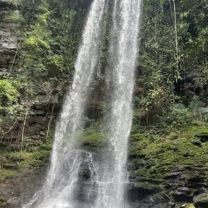 ABURI GARDEN, COCOA FARM AND WATERFALL TOUR