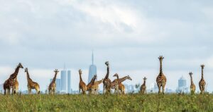 MAGICAL KENYA LUXURY PACKAGE