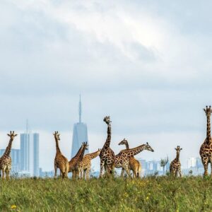 MAGICAL KENYA LUXURY PACKAGE
